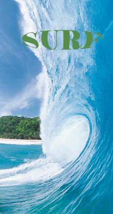 adrien schubmehl, surf, marketing du sport, management, formation en alternance, photos, schubmehl adrien, staps, chef de produit, evenementiel, adrien, schubmehl, lutte, staps corte, staps font romeu