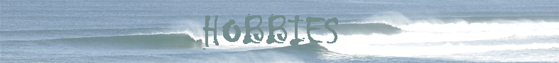 adrien schubmehl, surf, marketing du sport, management, formation en alternance, photos, schubmehl adrien, staps, chef de produit, evenementiel, adrien, schubmehl, lutte, staps corte, staps font romeu