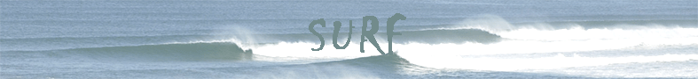 adrien schubmehl, surf, marketing du sport, management, formation en alternance, photos, schubmehl adrien, staps, chef de produit, evenementiel, adrien, schubmehl, lutte, staps corte, staps font romeu